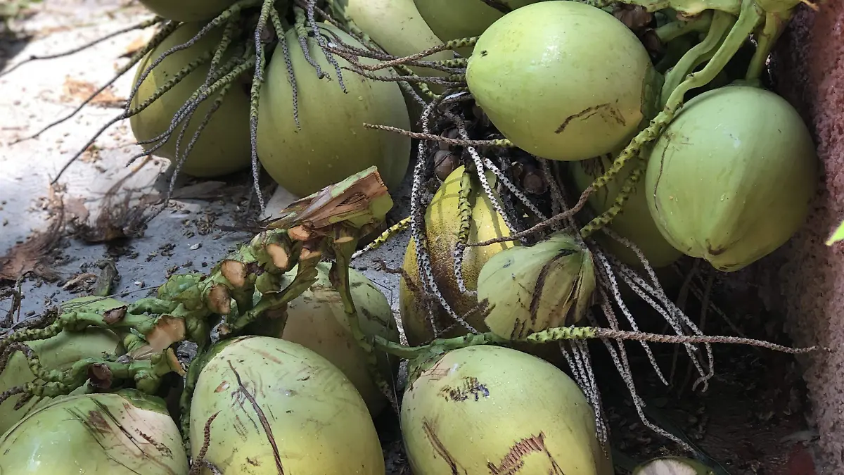 Productos exportados