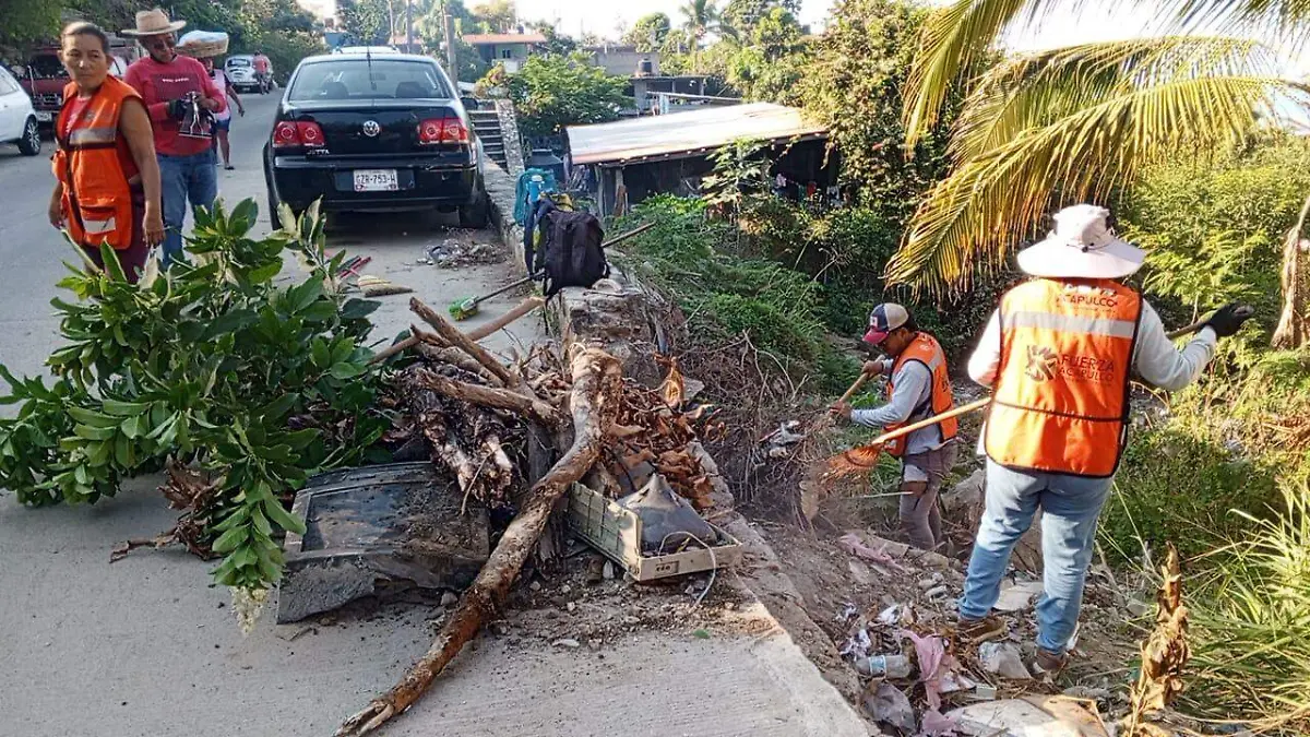 Jornadas de limpieza