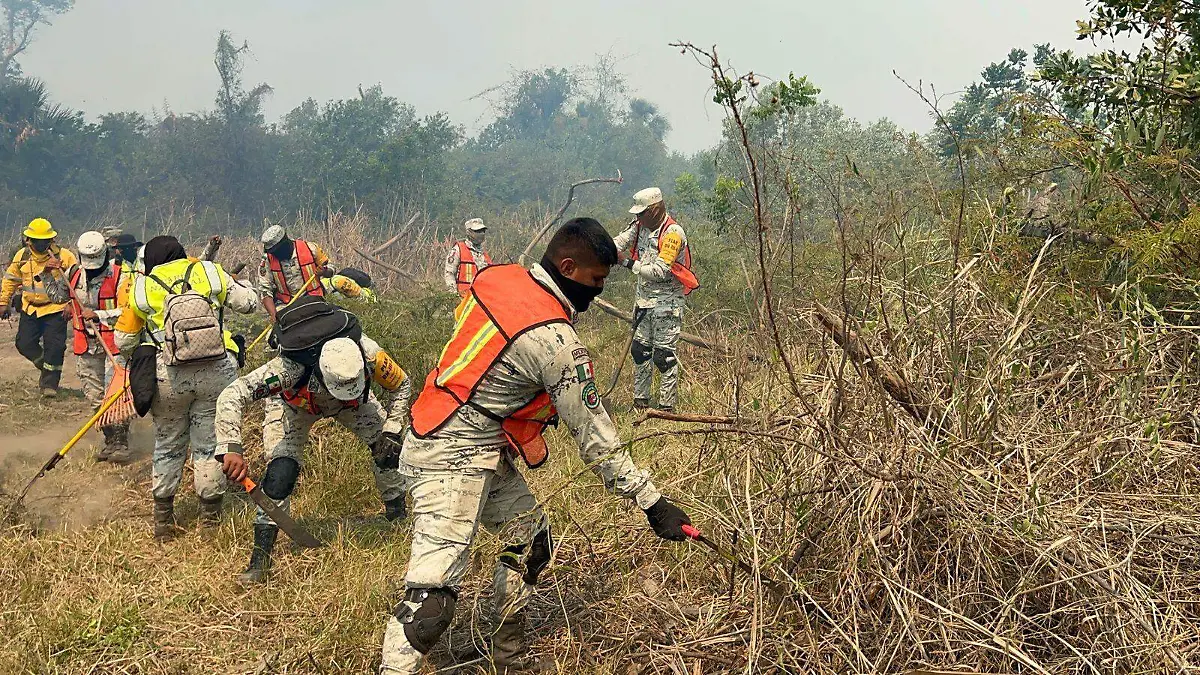 e1434e25-9f84-4031-ba21-325251ba8767