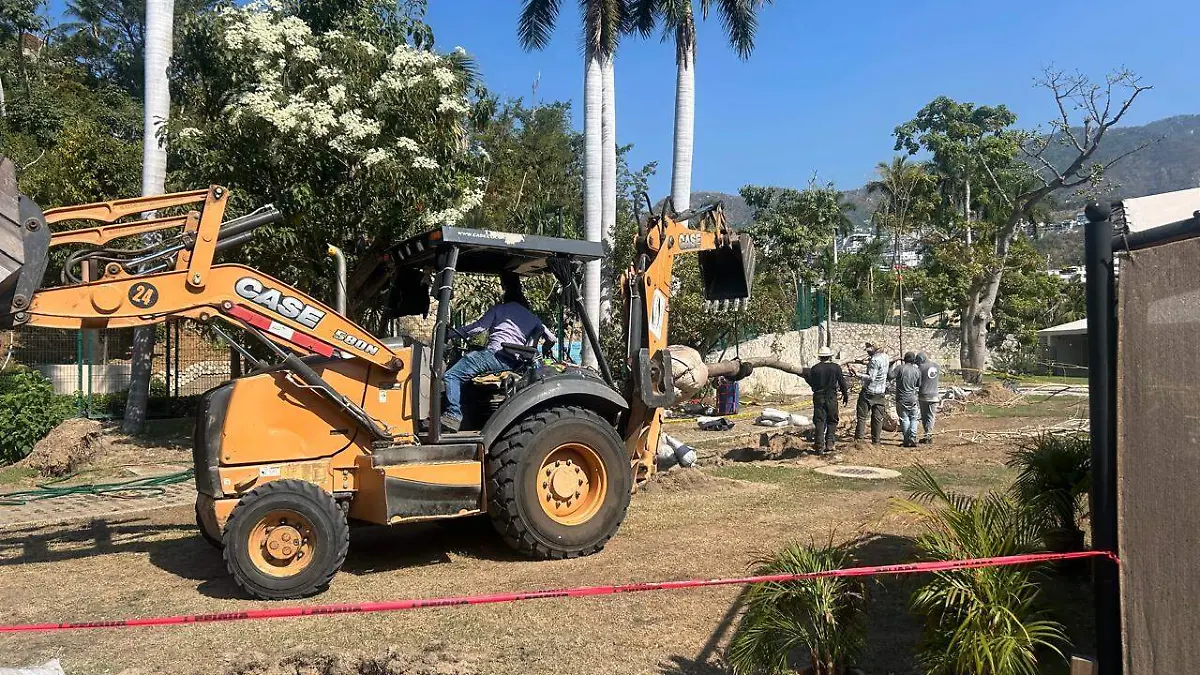 La siembra de los árboles, se realiza con un sistema adecuado para soportar ráfagas de viento