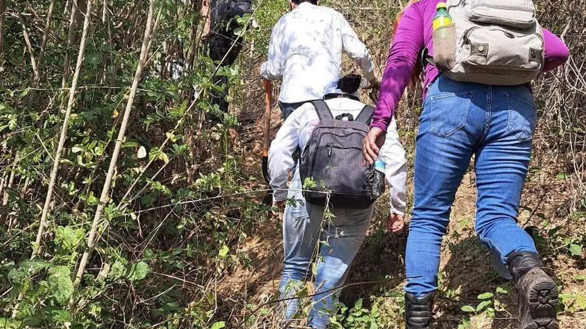 Búsqueda / Desparecidos 