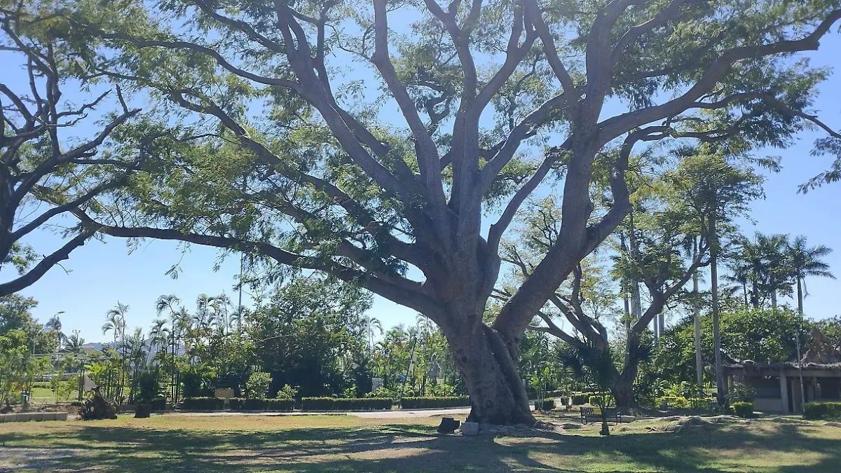 Parque Papagayo