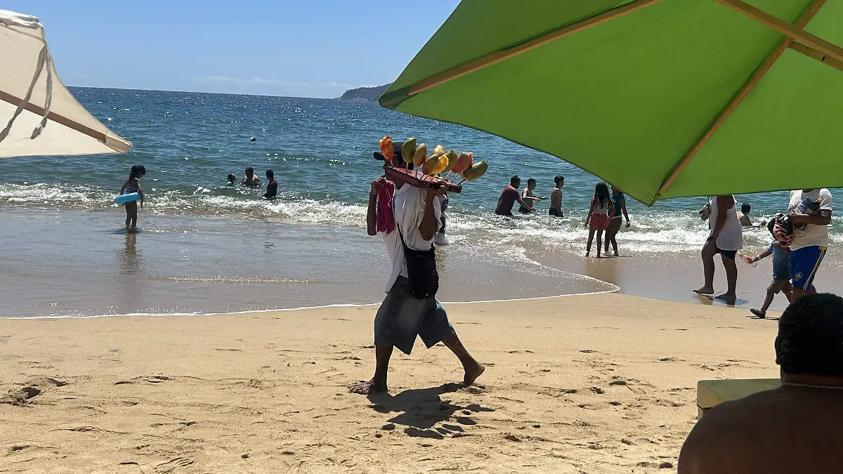 Comerciantes en zona federal