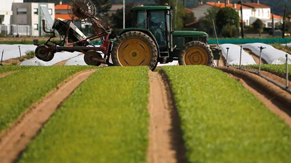 agricultuta