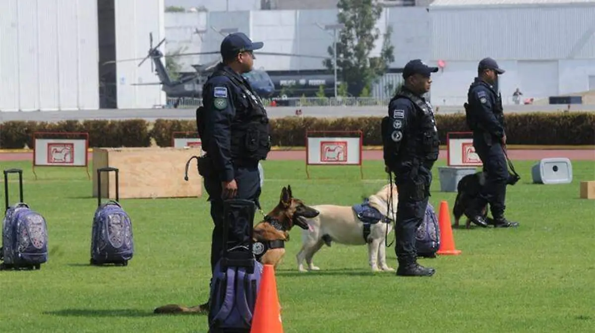 policia-federal-canina