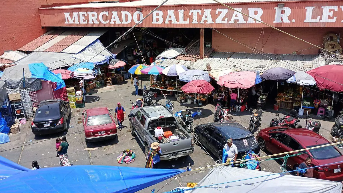 WhatsApp Image 2025-04-19 at 3.33.46 PM