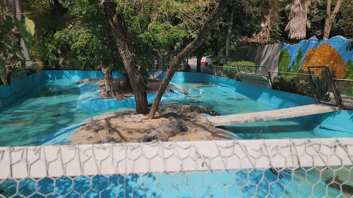 Zoochilpan cocodrilos