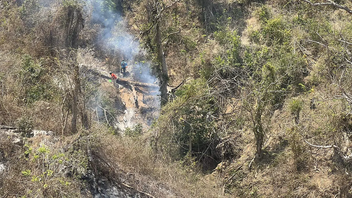 Incendio parque El Veladero