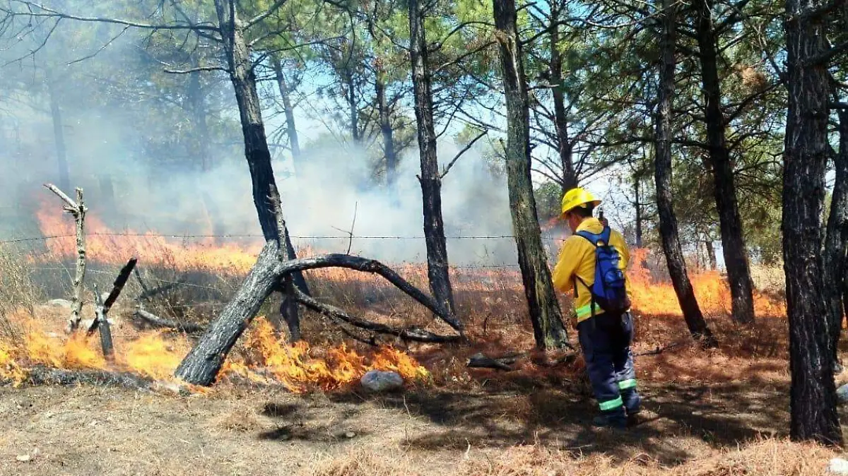 incendio forestal