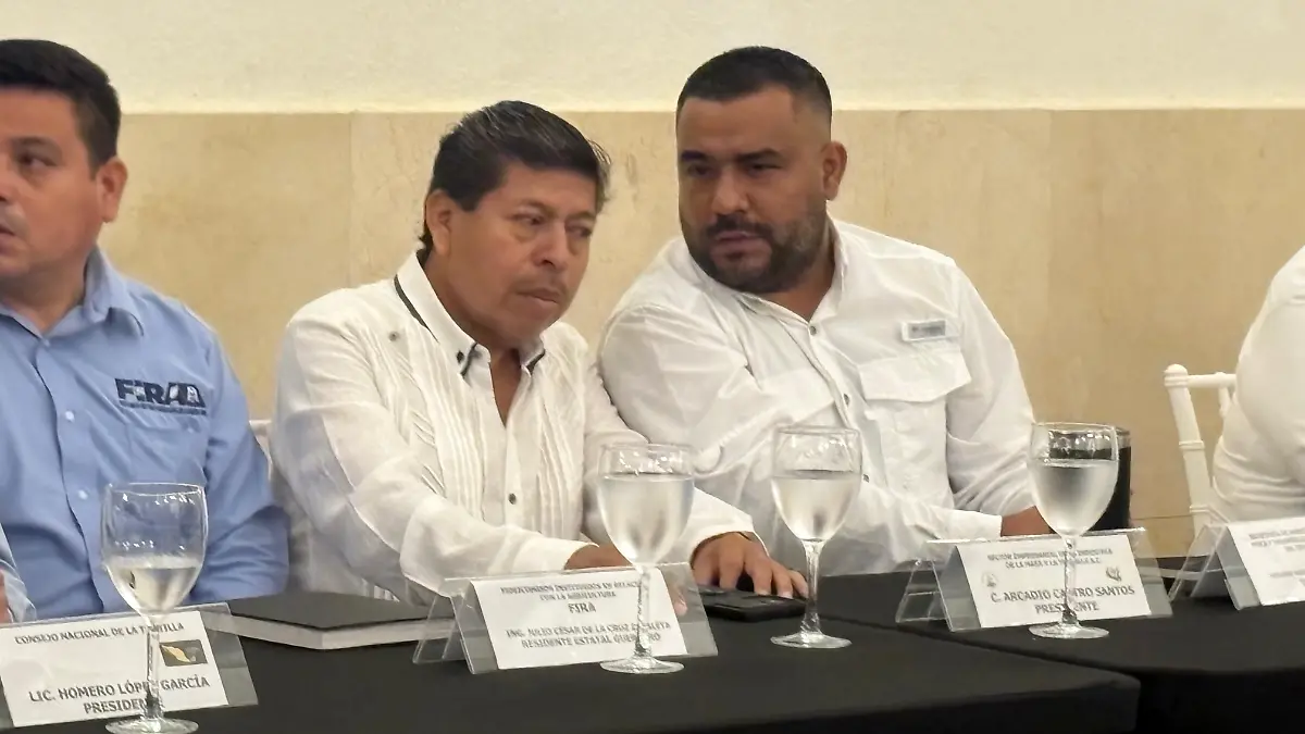 Representantes - Tortilla