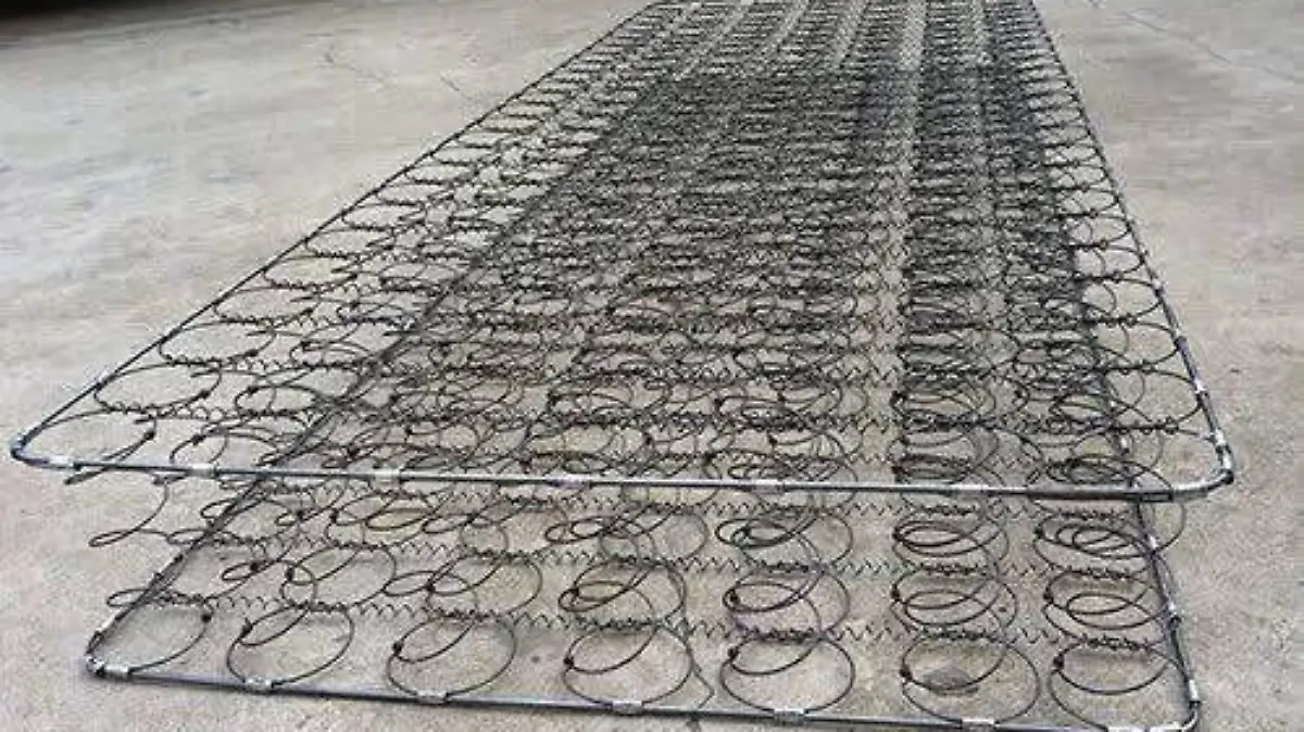 499277664_122134557686681500_1772291323481604759_n (1)