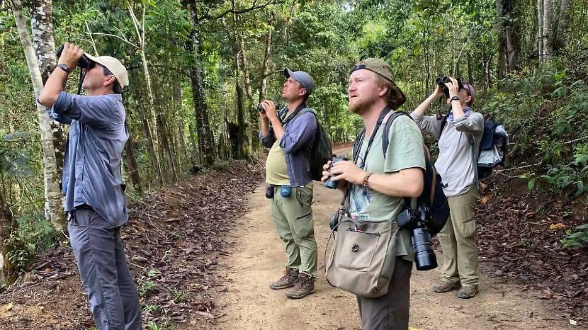 pajareros-de-guerrero