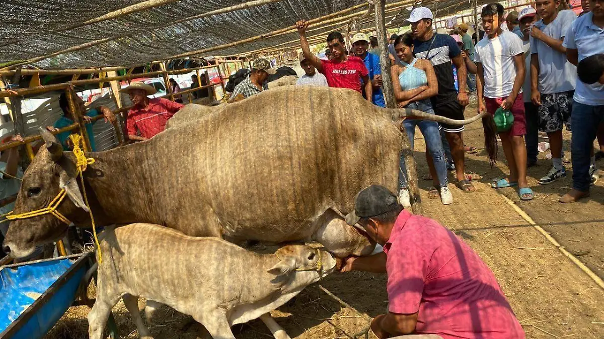 470111973_122130547628452319_5102115032783508766_n