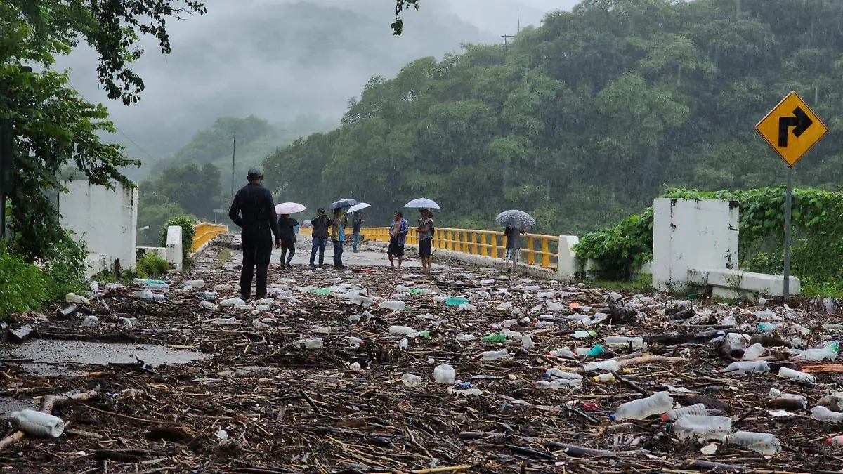 WhatsApp Image 2025-06-19 at 8.27.59 AM