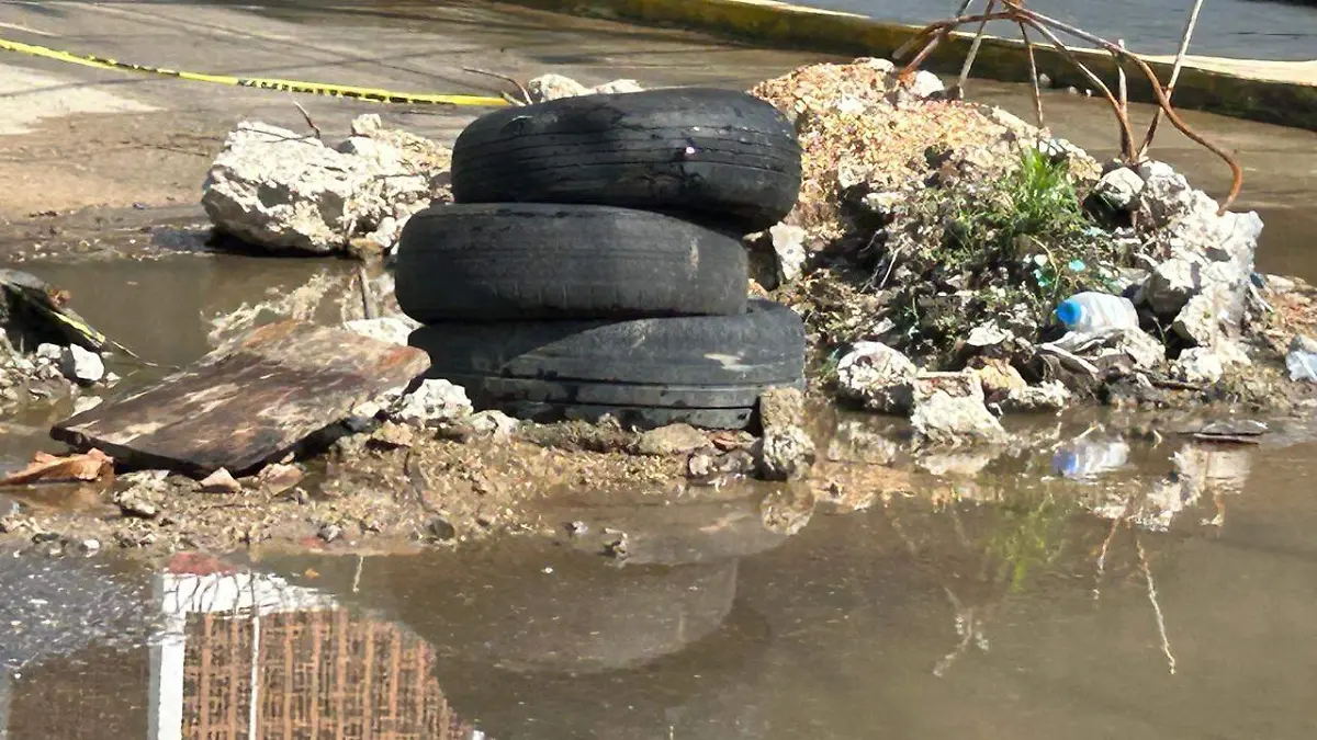 WhatsApp Image 2025-07-12 at 10.42.06 AM