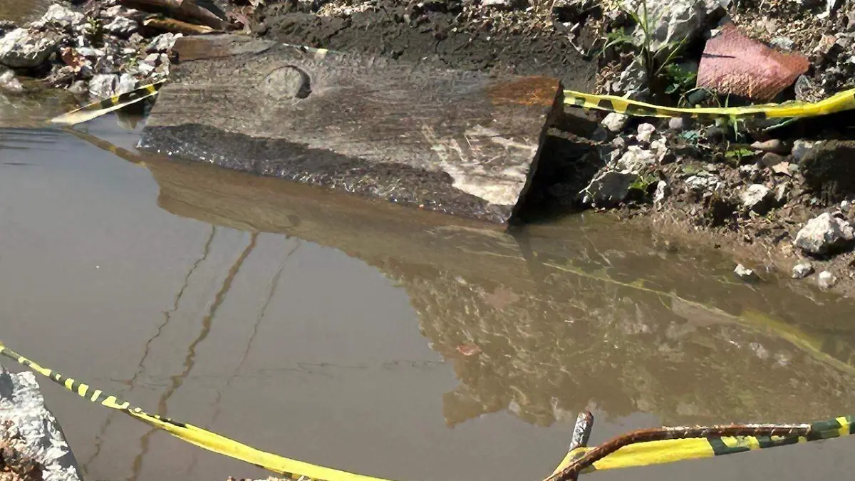 Miles de litros de agua se desperdician en la calla Las Garzas