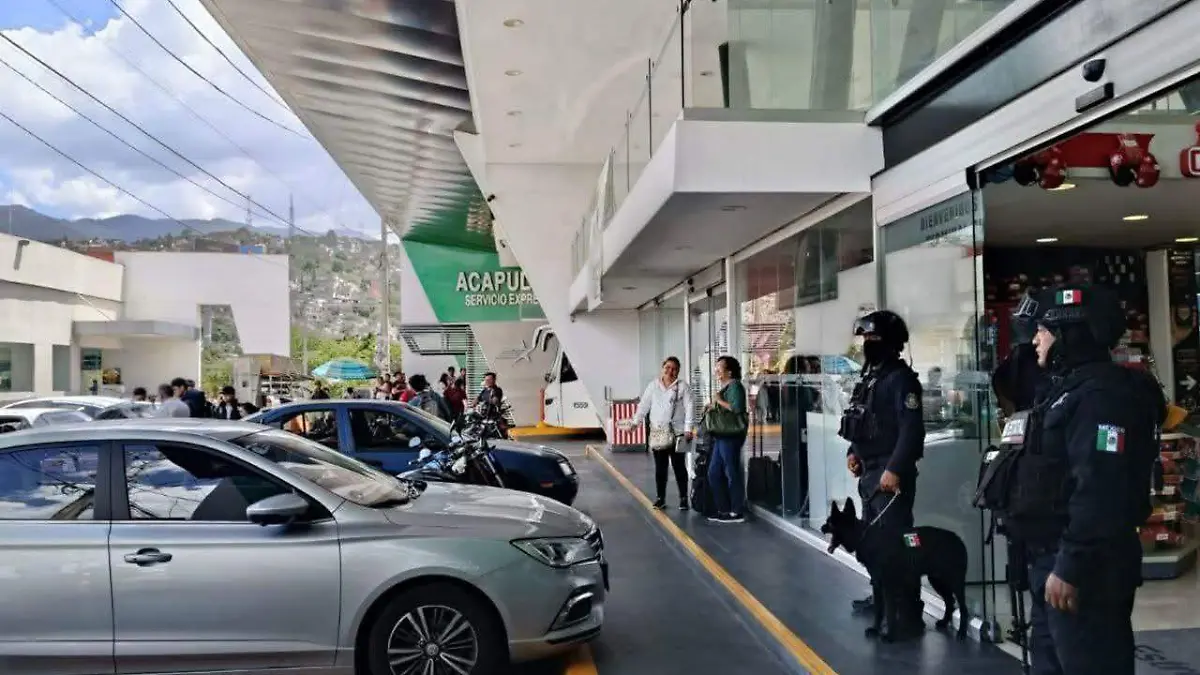 WhatsApp Image 2025-07-14 at 12.26.29 PM