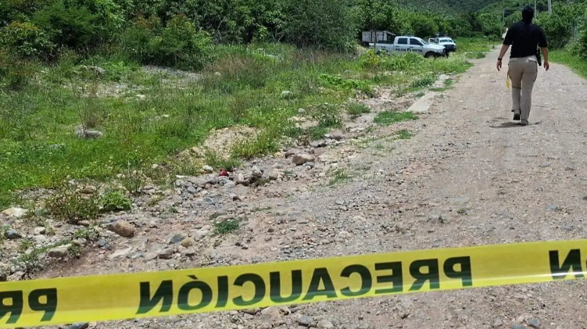 WhatsApp Image 2025-07-23 at 4.27.39 PM