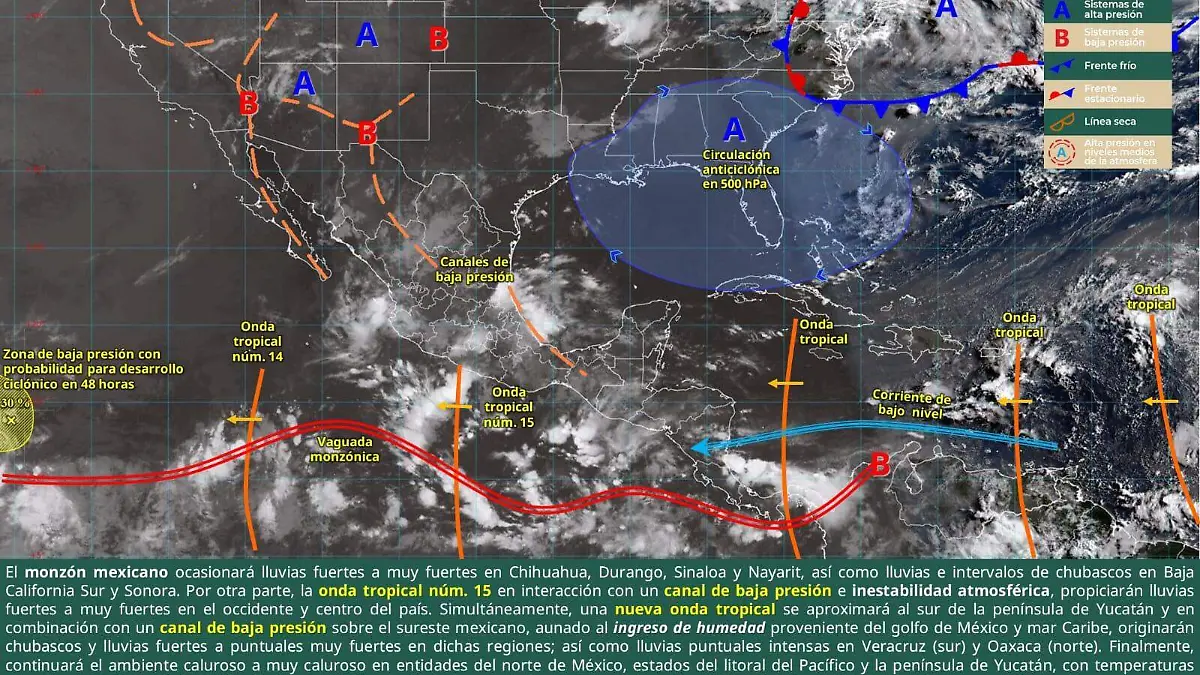 WhatsApp Image 2025-07-27 at 10.39.01 AM