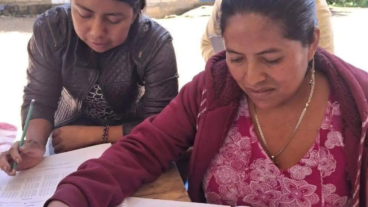 Analfabetismo - Guerrero 02 