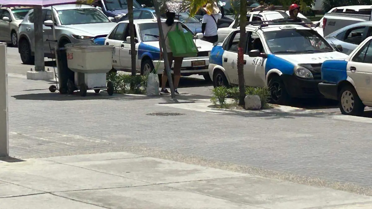 Son vendedores ocasionales, Vía Pública 