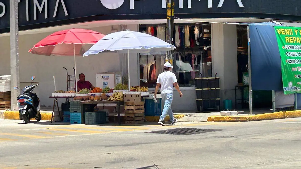 Vendedores ambulantes 