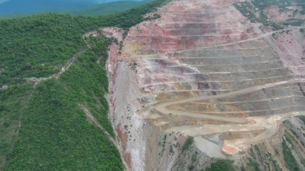 WhatsApp Image 2025-08-23 at 13.01.13 (1)