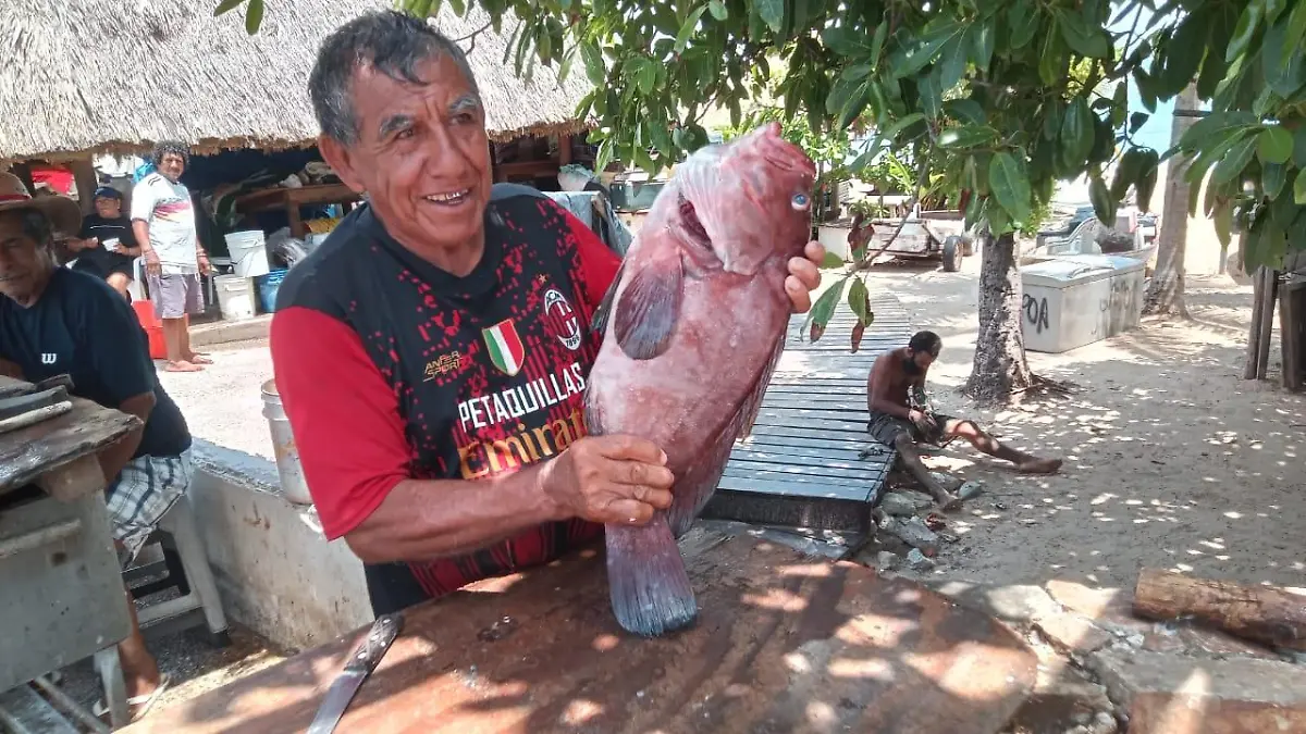 Pescado - ACA