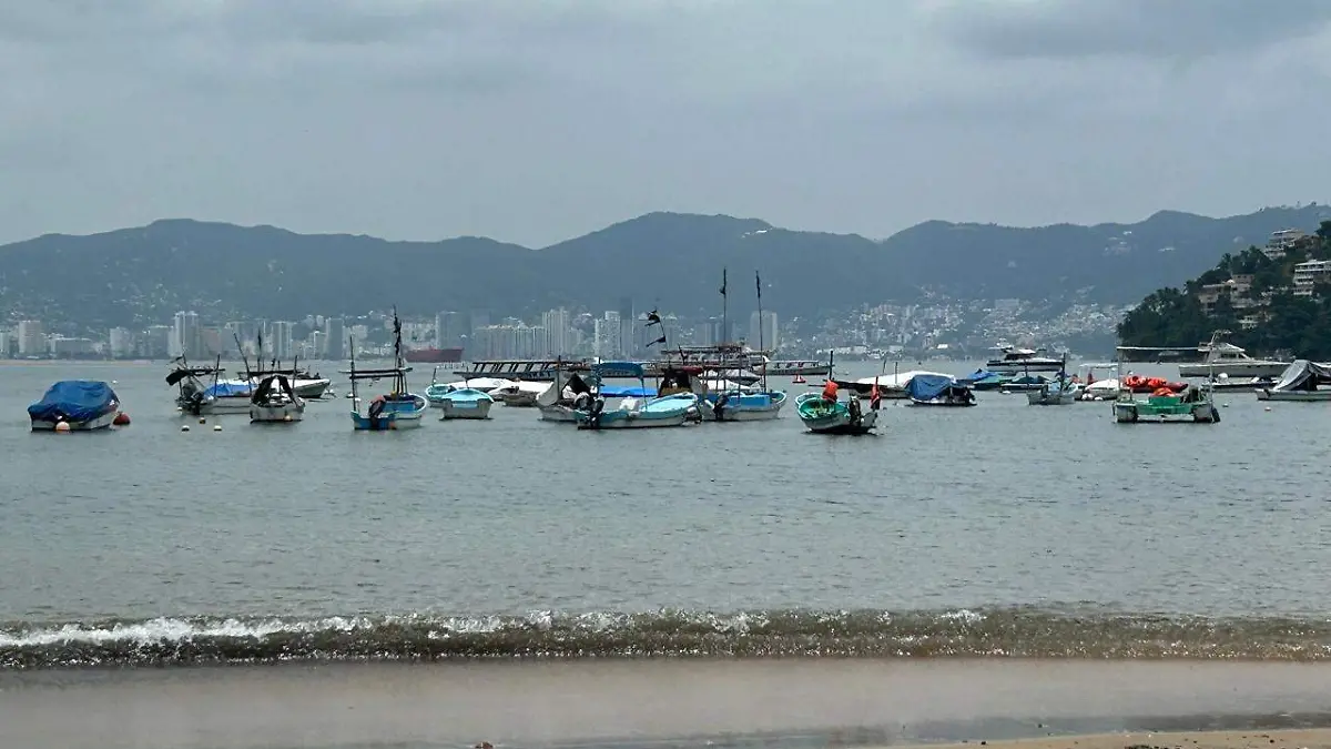 IMG-20251009-WA0004