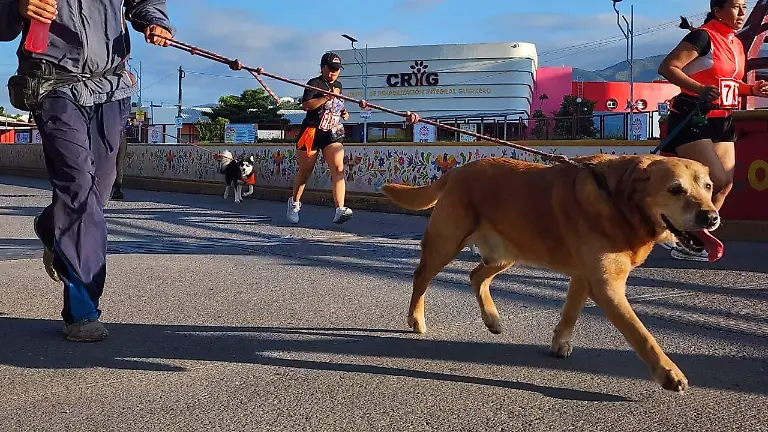 WhatsApp Image 2025-10-19 at 3.15.01 PM