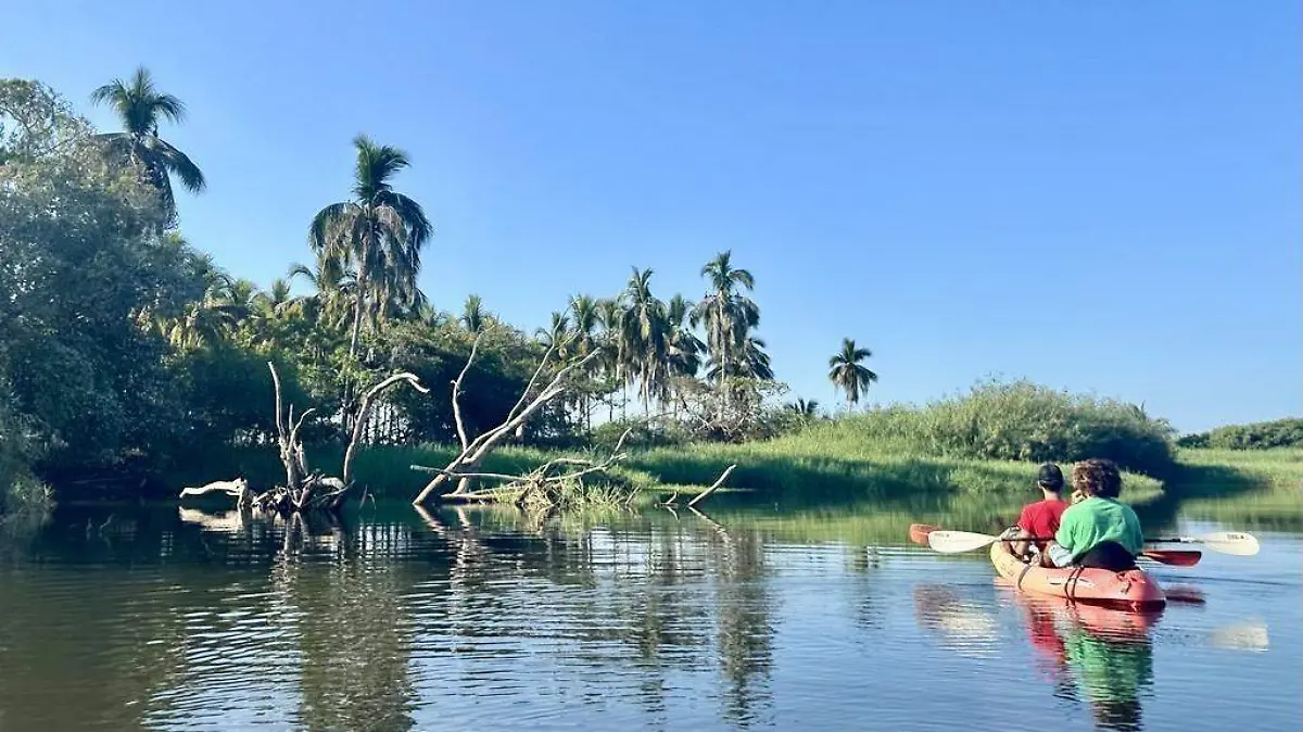 bfc2daaa-9c16-48d5-91e2-775276817f95