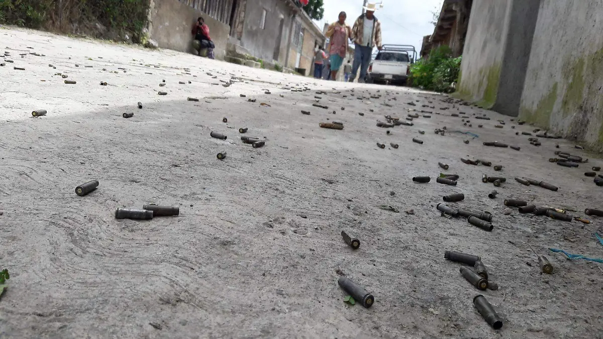 WhatsApp Image 2025-11-10 at 2.35.38 PM