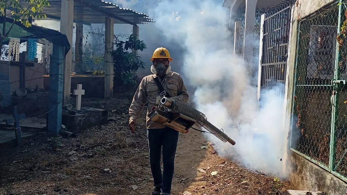 WhatsApp Image 2025-11-12 at 13.24.20