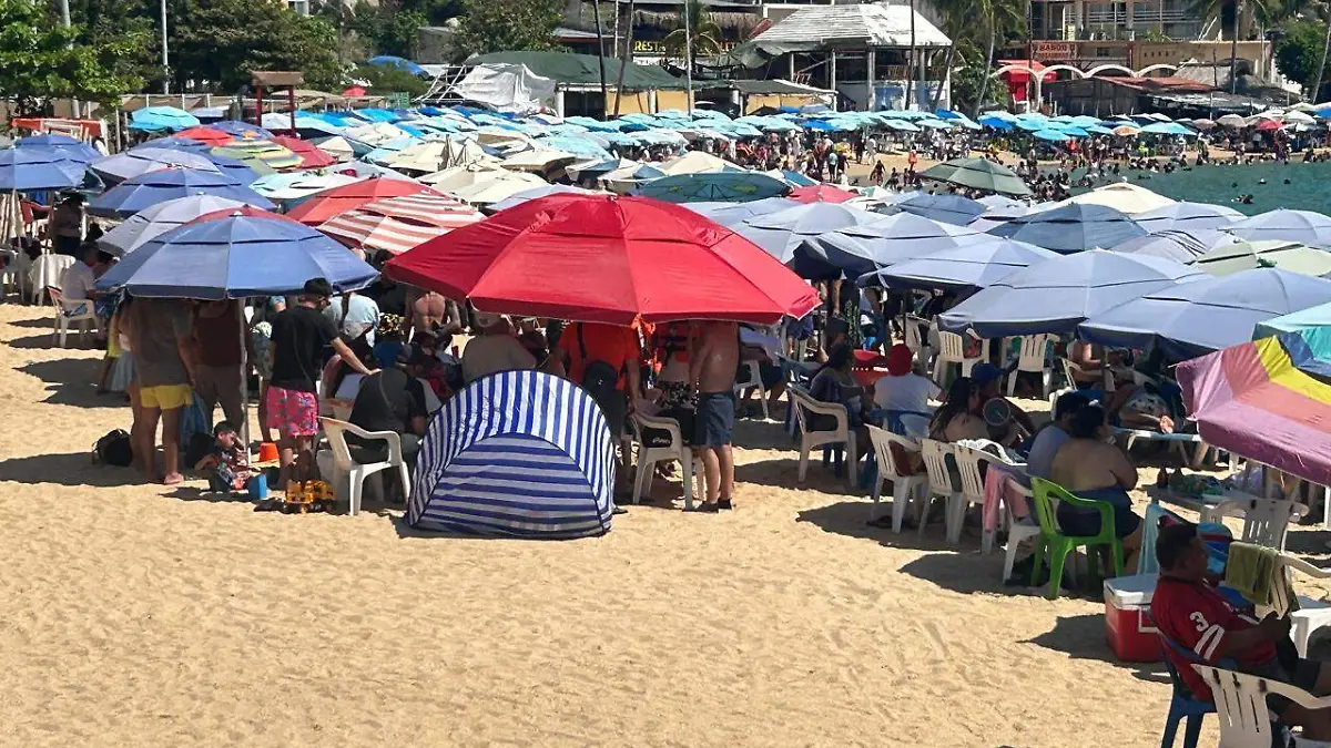 WhatsApp Image 2025-11-15 at 1.27.37 PM (1)