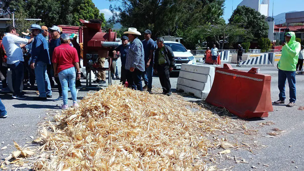 Protesta - Campesinos