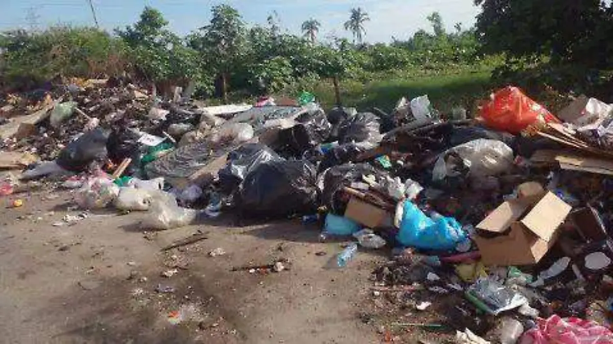 WhatsApp Image 2025-12-02 at 3.01.18 PM