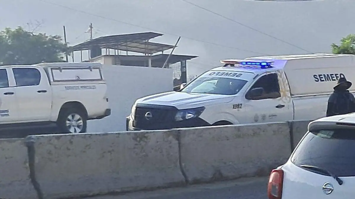 5c579055-586d-4071-95c1-ee34590c8e26