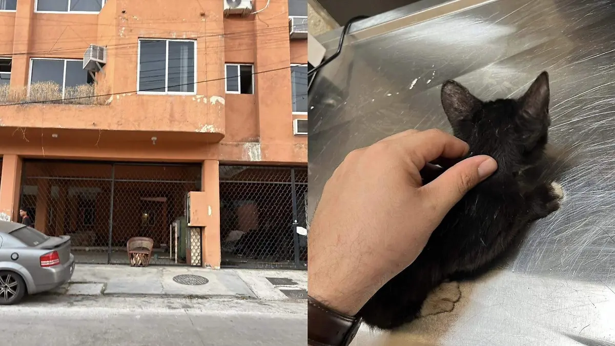 59E38D58-69CE-4CFE-9811-184C9BD4D21C