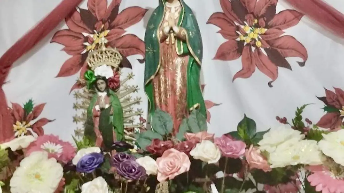 96f6d029-23c6-48c4-a658-06df90536deb