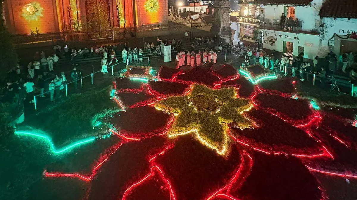 WhatsApp Image 2025-12-13 at 9.01.55 PM