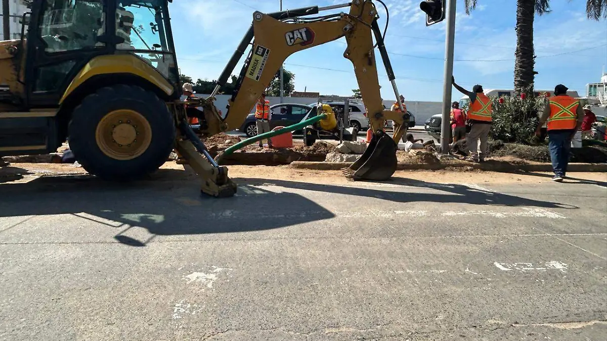 WhatsApp Image 2025-12-15 at 2.50.09 PM