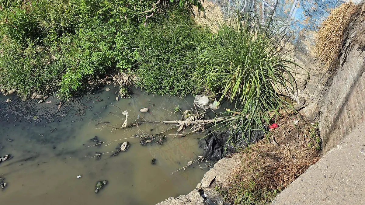 WhatsApp Image 2025-12-16 at 4.44.33 PM