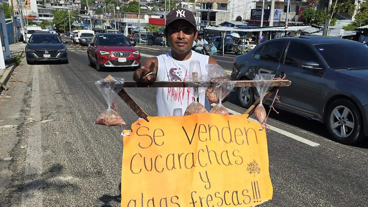 WhatsApp Image 2025-12-16 at 2.10.05 PM