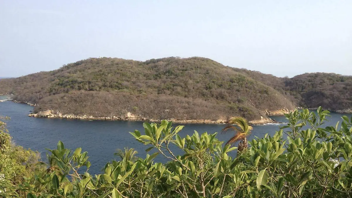 Declaratoria - Medio Ambiente