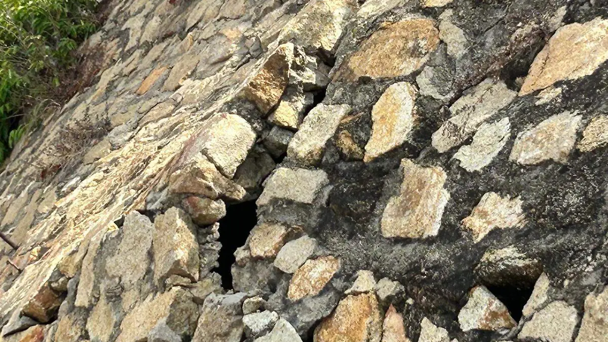 WhatsApp Image 2025-12-20 at 12.53.53 PM