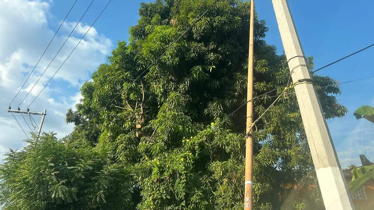 WhatsApp Image 2025-12-22 at 3.28.40 PM