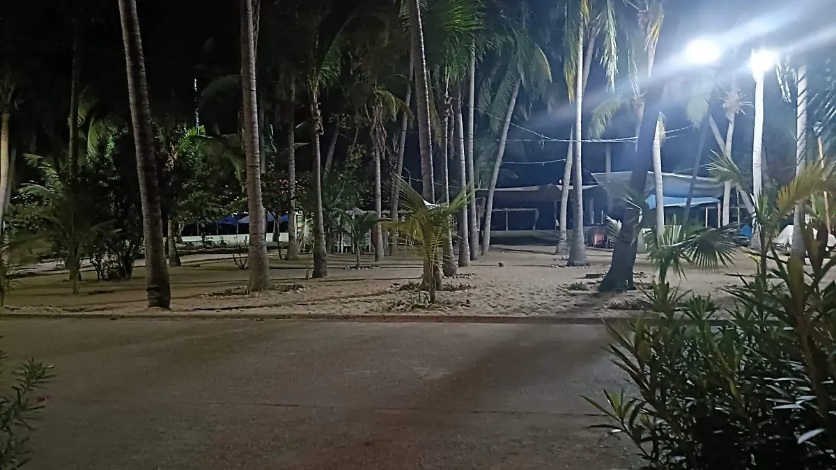 IMG-20251224-WA0003(1)