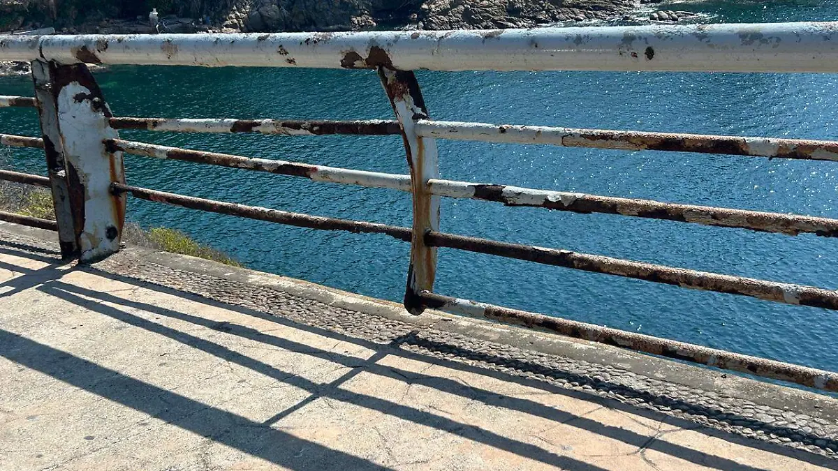 WhatsApp Image 2025-12-29 at 2.35.07 PM