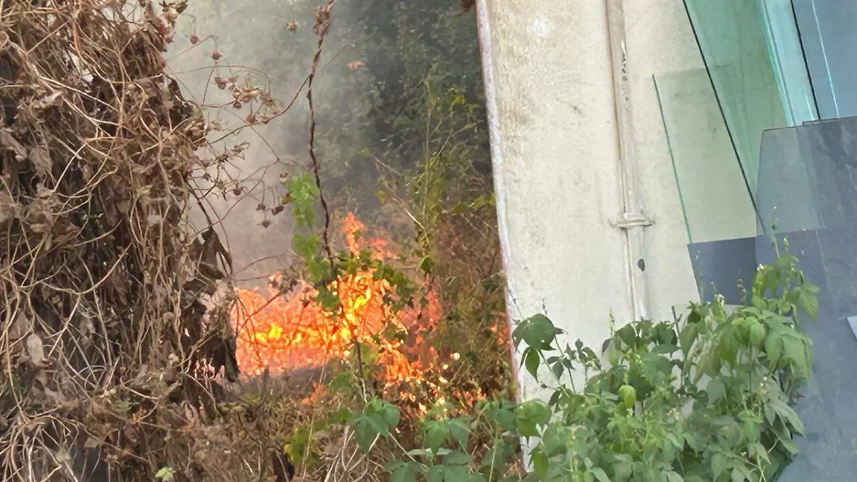 WhatsApp Image 2025-12-30 at 9.38.42 AM