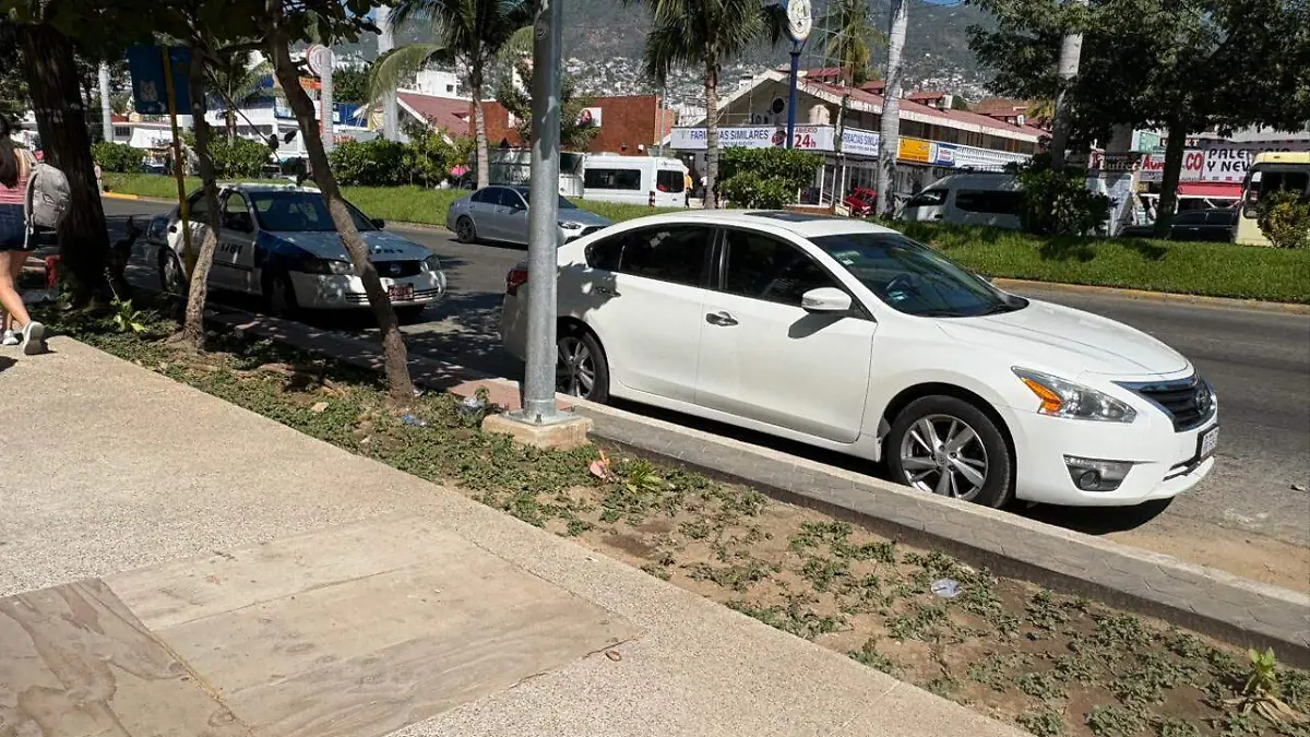 jardineras-costera-acapulco